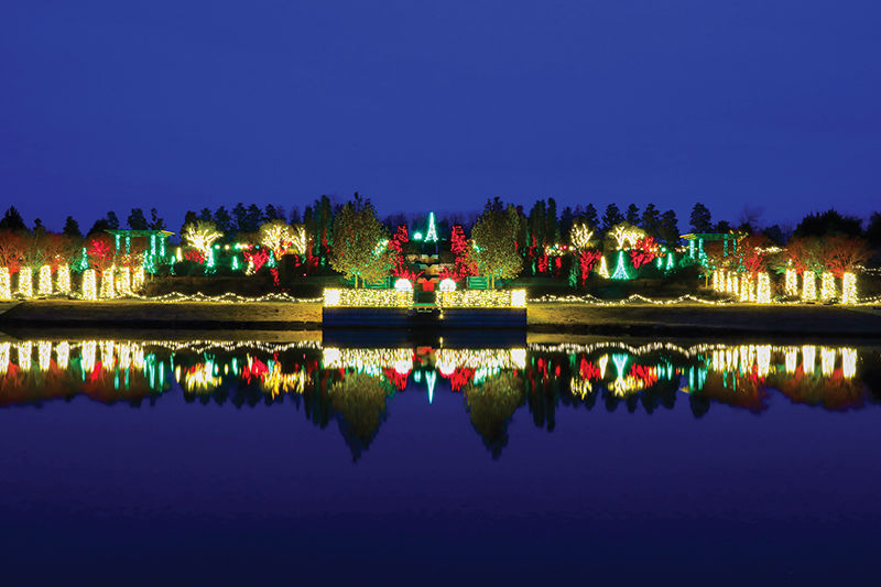 TP_1119_TulsaBotanicGardenLights_1.jpg